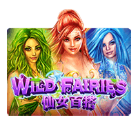 wild fairies