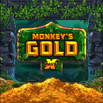 monkey gold x pays