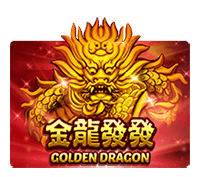 golden dragon