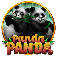 panda panda
