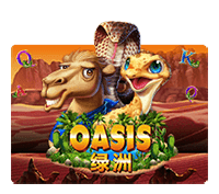 oasis